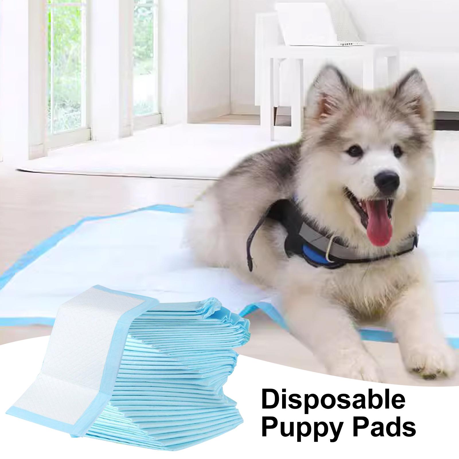 Fasciatoio per pannolini 100 p - Diaper Changing Mat recensione e prezzo